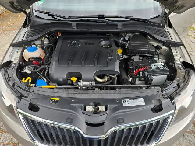 Skoda Rapid view 14