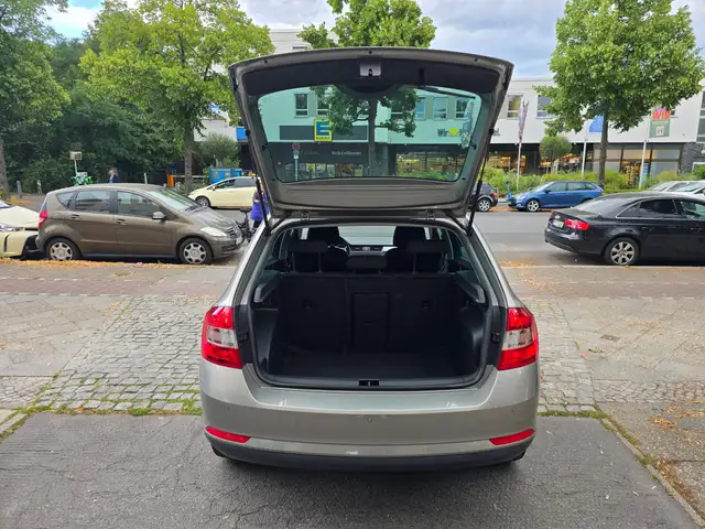 Skoda Rapid view 15
