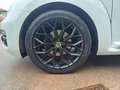 Volkswagen Maggiolino Maggiolino Cabrio 1.2 tsi Design 105cv Blanc - thumbnail 14