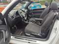 Volkswagen Maggiolino Maggiolino Cabrio 1.2 tsi Design 105cv Blanc - thumbnail 5