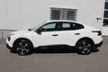 Citroen C4 X PureTech 100 S&S 6-Gang-Manuell You Weiß - thumbnail 5