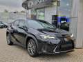 Lexus UX 300h F Sport Design Schwarz - thumbnail 1