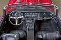 Jaguar E-Type S III, seit 1981 einen Besitzer, wenig KM Roşu - thumbnail 14