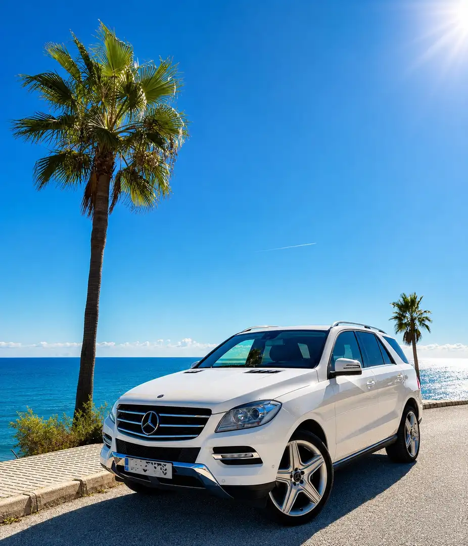 Mercedes-Benz ML 250 BlueTEC - 1