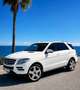Mercedes-Benz ML 250 BlueTEC - thumbnail 3