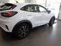 Ford Puma Puma II 2020 1.5 ecoblue Titanium s Bianco - thumbnail 12