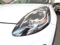 Ford Puma Puma II 2020 1.5 ecoblue Titanium s Bianco - thumbnail 6