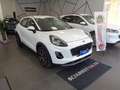 Ford Puma Puma II 2020 1.5 ecoblue Titanium s Bianco - thumbnail 2