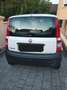 Fiat Panda Panda 1.1 Active Weiß - thumbnail 2