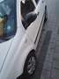 Fiat Panda Panda 1.1 Active Weiß - thumbnail 4