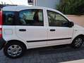 Fiat Panda Panda 1.1 Active Weiß - thumbnail 5