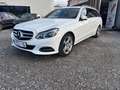 Mercedes-Benz E 220 E 220 BlueTec (212.201) Weiß - thumbnail 2