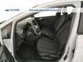 Ford Fiesta 5p 1.5 tdci Plus 85cv Bianco - thumbnail 17