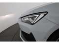 CUPRA Leon 2.0 TSI DSG PANO/NAV/Leder/Memory/19'' ALU Weiß - thumbnail 26