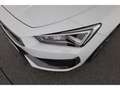 CUPRA Leon 2.0 TSI DSG PANO/NAV/Leder/Memory/19'' ALU Weiß - thumbnail 7