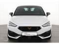 CUPRA Leon 2.0 TSI DSG PANO/NAV/Leder/Memory/19'' ALU Weiß - thumbnail 3
