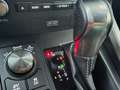 Lexus NX 300 h F SPORT 2.5 4 wd Gris - thumbnail 6