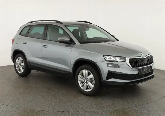 Skoda Karoq main image