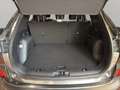 Ford Kuga Plug-In Hybrid Titanium Grau - thumbnail 13