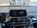 BMW X3 xDrive 30dA Blanco - thumbnail 34