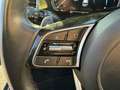 Kia Ceed / cee'd 1.6 GDI 105CH + PLUG-IN 60.5CH DESIGN DCT6 MY22 Blanc - thumbnail 14