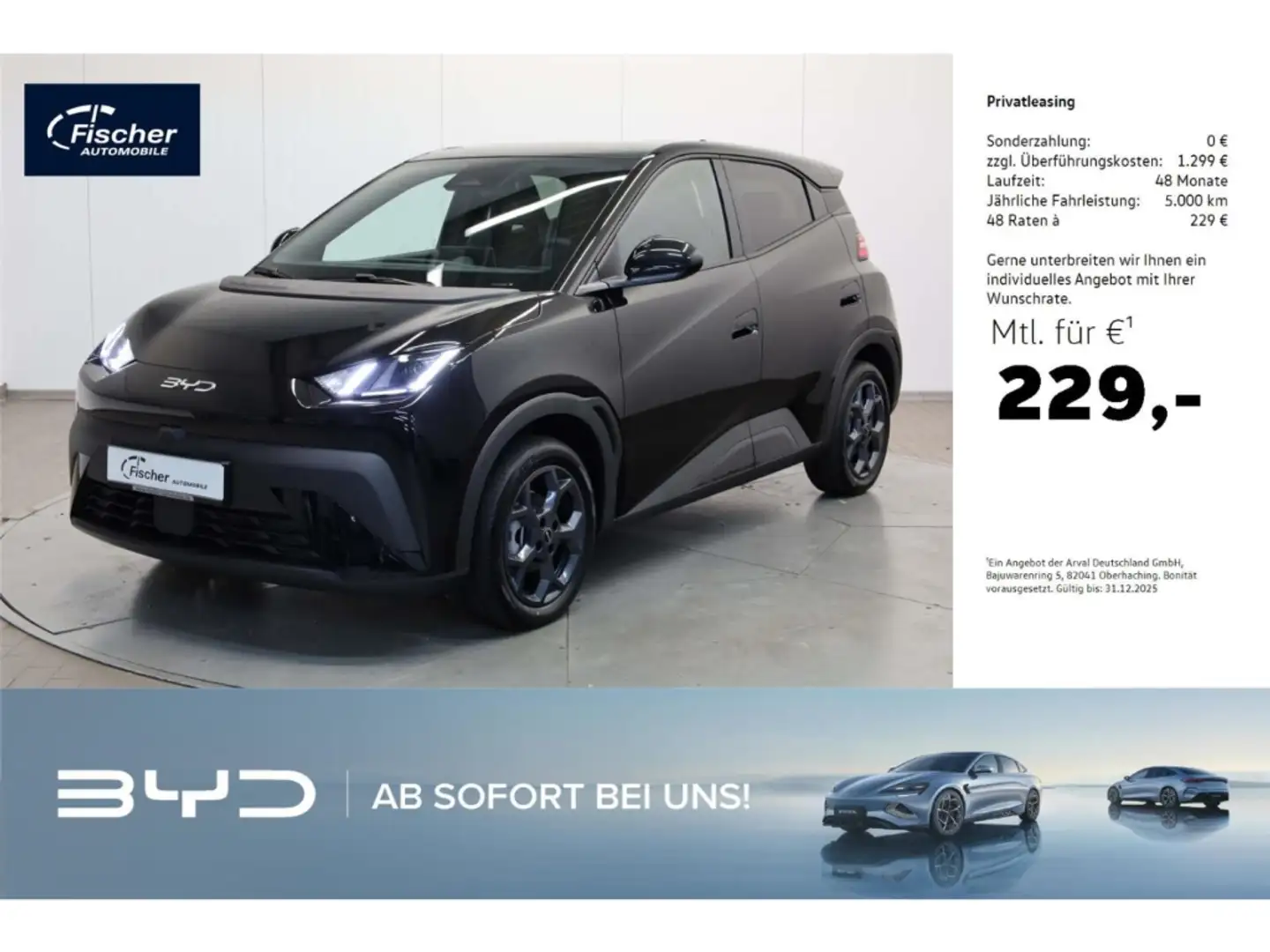 BYD Dolphin Elektro Comfort Schwarz - 1