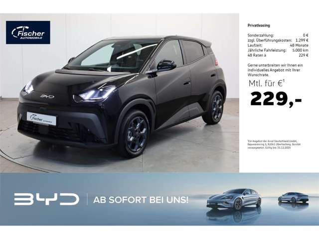 Imagine BYD Dolphin Elektro Comfort