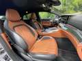 Mercedes-Benz AMG GT 63 S 4-Matic+*PackCarbon*Premium+pack* Plateado - thumbnail 8