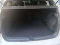 Volkswagen Golf 2.0 TDI 150 CV DSG SCR R-Line Bianco - thumbnail 9