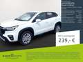 Suzuki SX4 S-Cross 5-Türer 1.4 BOOSTERJET HYBRID Comfort Bianco - thumbnail 2