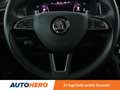Skoda Kodiaq 2.0 TSI Drive 125 4x4 Aut.*NAVI*360*ACC* Grau - thumbnail 19