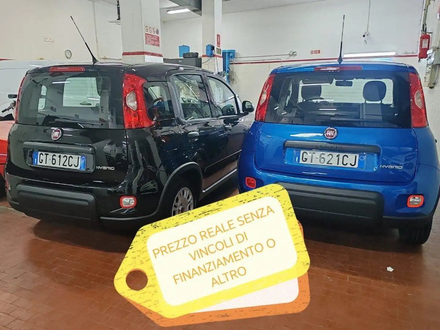 Fiat Panda 1.0 Hybrid PREZZO REALE IN PRONTA CONSEGNA Groen - 2