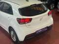 Kia Rio 1.2 DPi Drive 84 Blanco - thumbnail 14