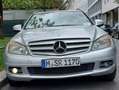 Mercedes-Benz 220 Kombilimusine Stříbrná - thumbnail 10