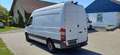 Mercedes-Benz Sprinter 316 CDI KA L2H2 Klima AHK 2,8t Weiß - thumbnail 7