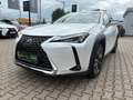Lexus UX 250h Style Edition LED, Kamera, AppleCarPlay Wit - thumbnail 2