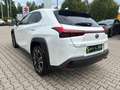 Lexus UX 250h Style Edition LED, Kamera, AppleCarPlay Wit - thumbnail 5