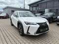 Lexus UX 250h Style Edition LED, Kamera, AppleCarPlay Weiß - thumbnail 3