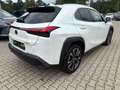 Lexus UX 250h Style Edition LED, Kamera, AppleCarPlay Weiß - thumbnail 4