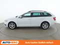 Skoda Octavia 1.5 TSI ACT Style Weiß - thumbnail 3