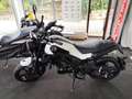 Benelli Leoncino Leoncino 125 Alb - thumbnail 1