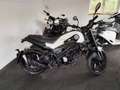 Benelli Leoncino Leoncino 125 Alb - thumbnail 3