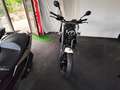 Benelli Leoncino Leoncino 125 Alb - thumbnail 4