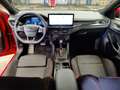 Ford Focus EcoBoost mHEV ST-Line X AUT - thumbnail 12