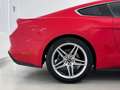 Ford Mustang Fastback 5.0 Ti-VCT GT Aut. Rojo - thumbnail 13