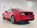 Ford Mustang Fastback 5.0 Ti-VCT GT Aut. Rojo - thumbnail 6