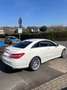 Mercedes-Benz E 550 AMG Wit - thumbnail 2