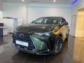 Lexus NX 350h Premium+ 2WD Blau - thumbnail 5