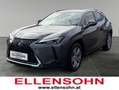 Lexus UX 250h Style Edition Schwarz - thumbnail 1