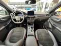 Ford Kuga Plug-In Hybrid ST-Line X/Styling-Paket/ACC Zwart - thumbnail 12